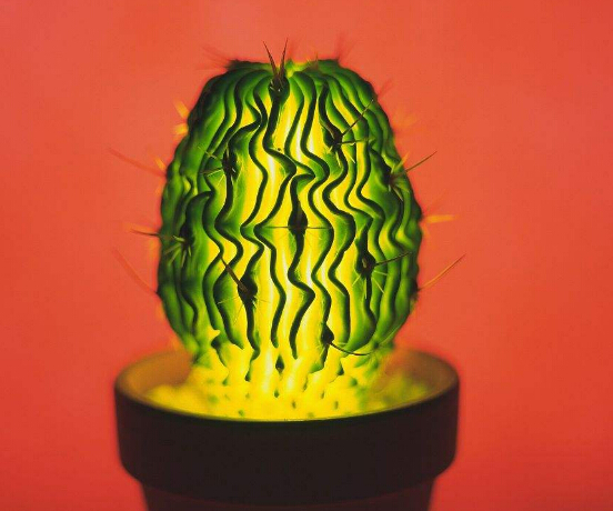 The rise of plant lighting