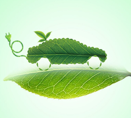 The post-subsidy era Can new energy vehicles beat fuel vehicles?